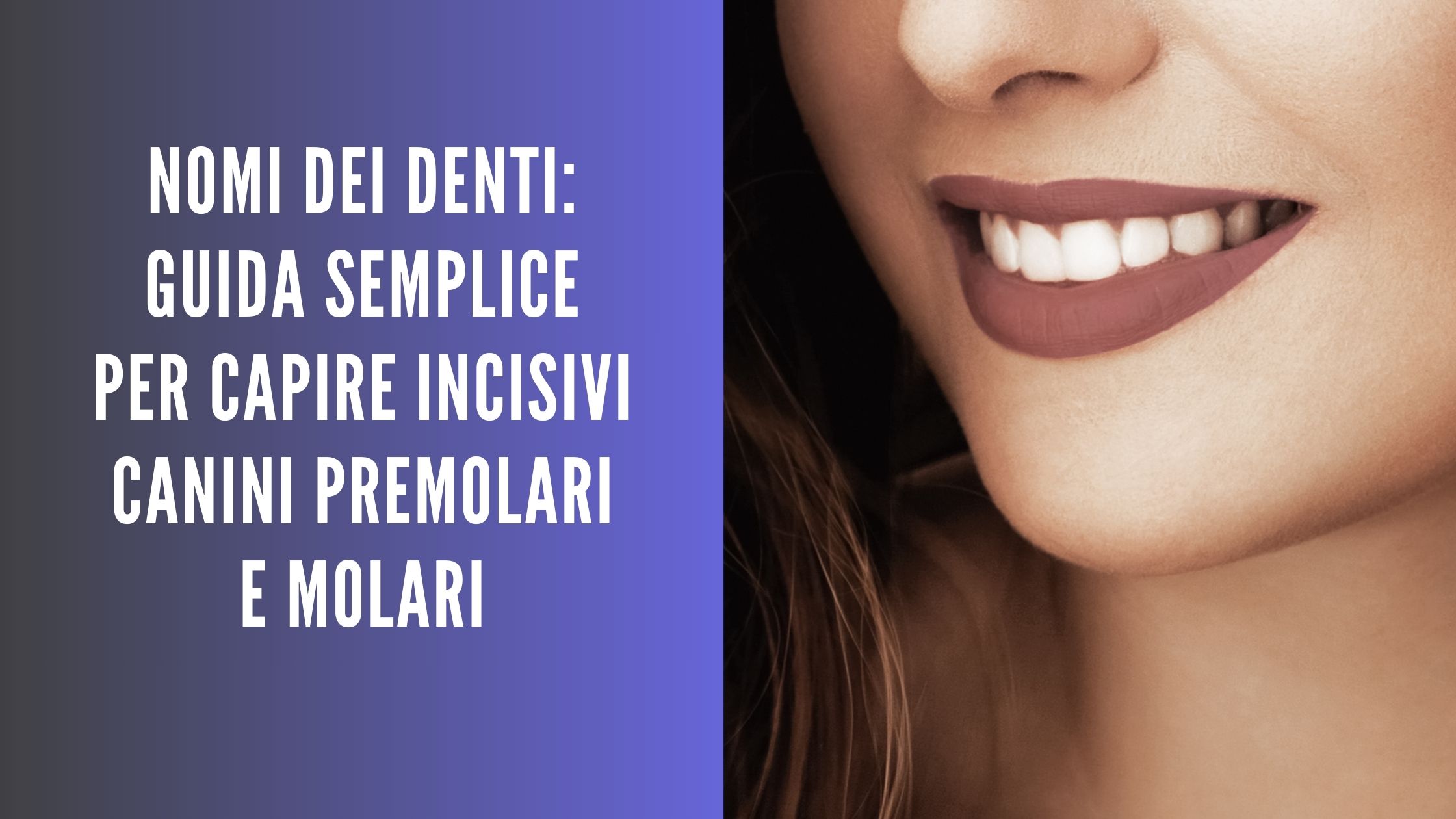 Sorriso con grafica ‘Nomi dei denti’: incisivi, canini, premolari e molari
